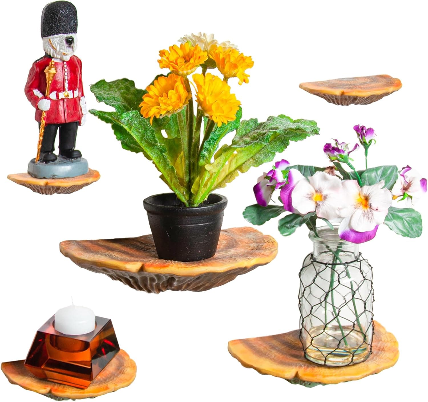 Amazon Wiosi 5-Piece Turkey Gill Mushroom Floating Shelves for Decorating Wall | Shelves for Room Wall | Perfect Floating Shelves for Room Decor | Leopard Gecko Tank Accessories